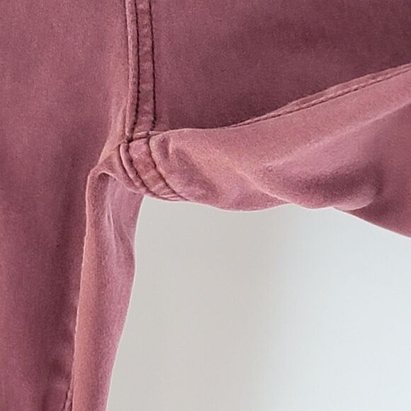 Ag adriano goldschmied brick red pants abbey ankle - Picture 7 of 14